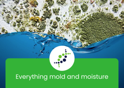 Default blog thumbnail image for The Solutions Group, showing mold and water with the wording "everything mold and moisture:.