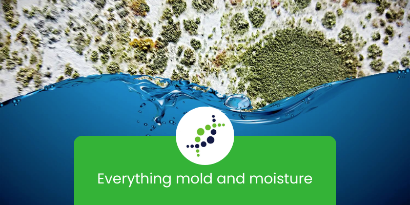 Default blog thumbnail image for The Solutions Group, showing mold and water with the wording "everything mold and moisture:.