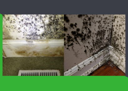 A split image showcasing two severe mold infestations within a home. On the left, a wall above a heating vent is covered in mold spots, with visible discoloration and damage to the paint and wall structure. On the right, a corner of a room with hardwood flooring exhibits extensive black mold growth concentrated around the baseboard and lower wall area, indicating significant moisture problems.