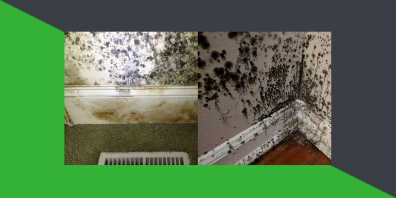 A split image showcasing two severe mold infestations within a home. On the left, a wall above a heating vent is covered in mold spots, with visible discoloration and damage to the paint and wall structure. On the right, a corner of a room with hardwood flooring exhibits extensive black mold growth concentrated around the baseboard and lower wall area, indicating significant moisture problems.