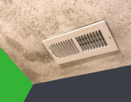 How to identify mold in air vents