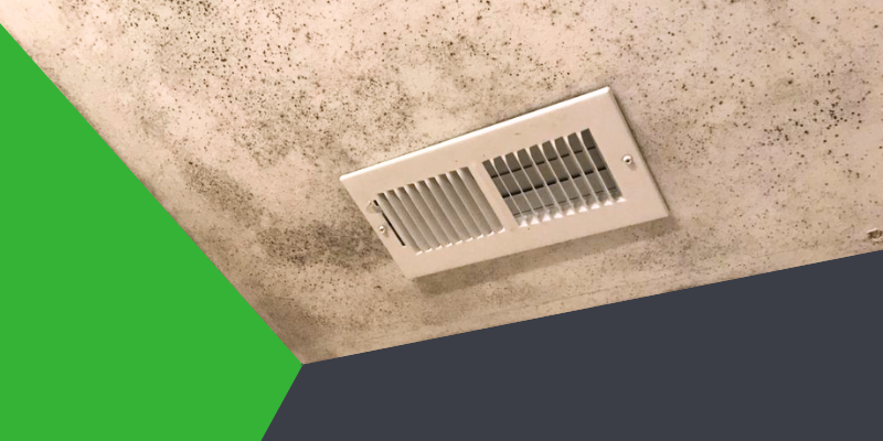 An air vent on a bathroom ceiling with mold growing around it.