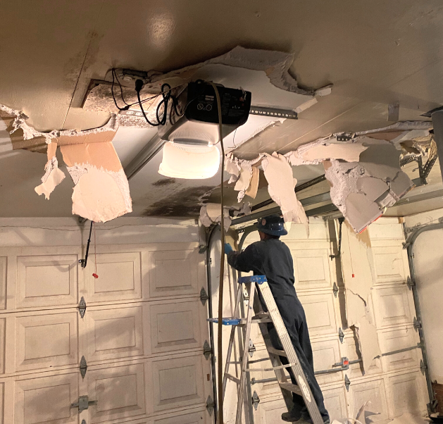 mold removal Chapel Hill